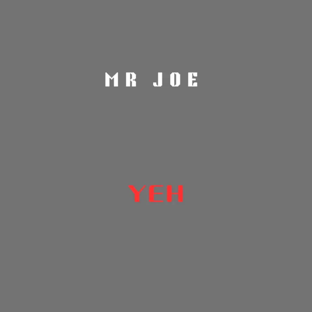 Mr Joe