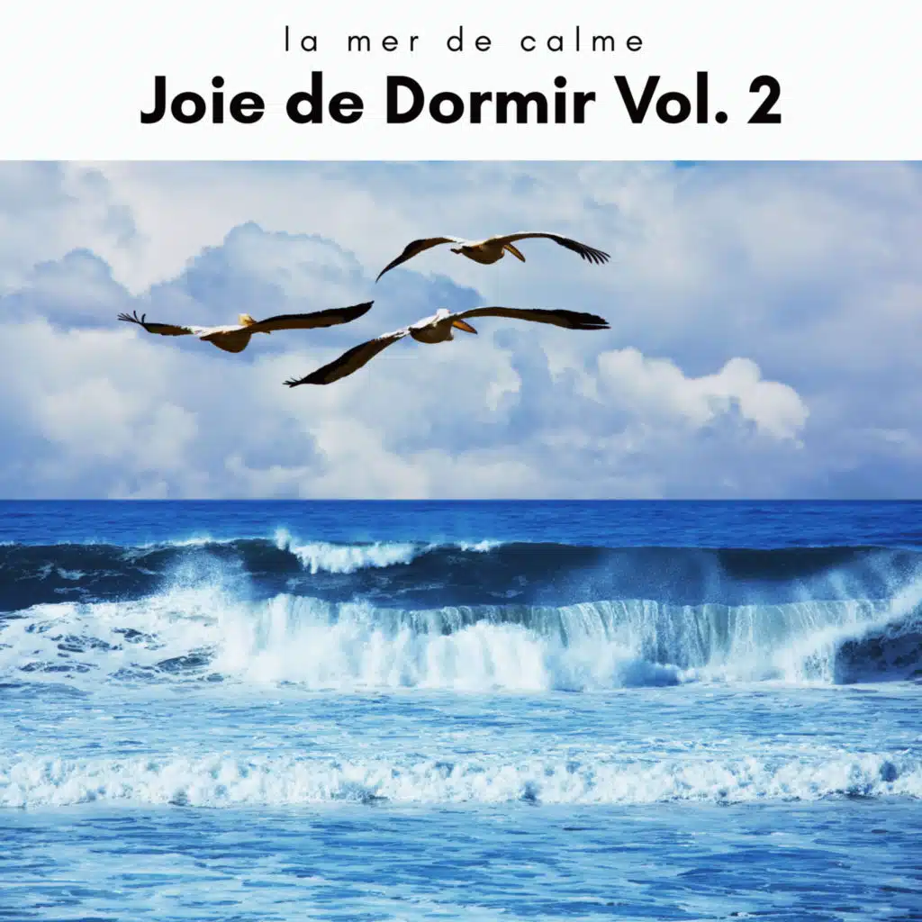 Algorithmic Recharge with Soft Songs (feat. Sonidos De Aves, Atmósferas de Lluvia & Mindful Measures)