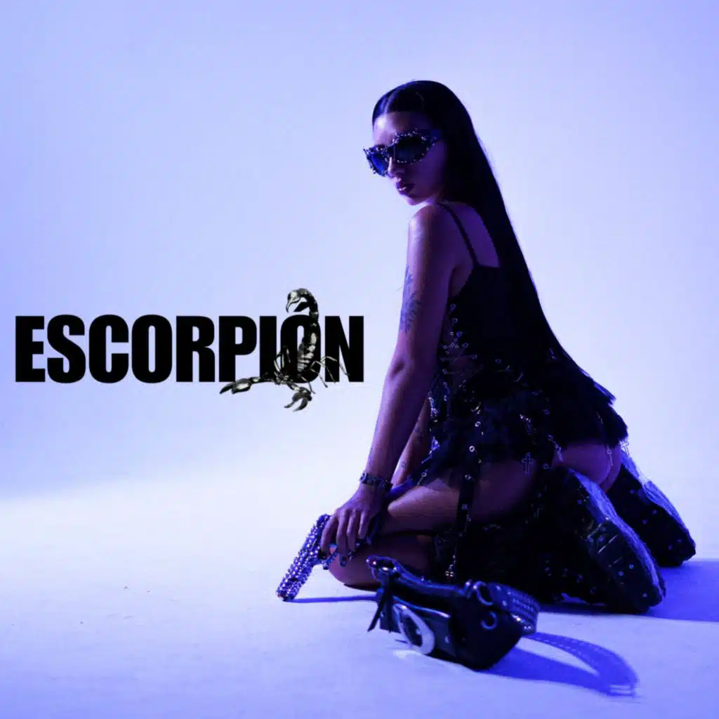 TRIBAL & Krimps Studio