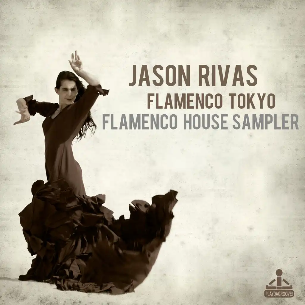 Flamenco House Sampler