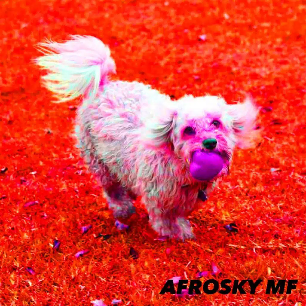 Afrosky MF