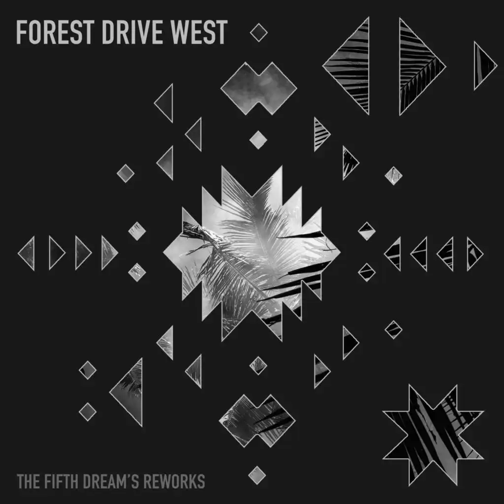 Night in Palmtree (Forest Drive West Rework)