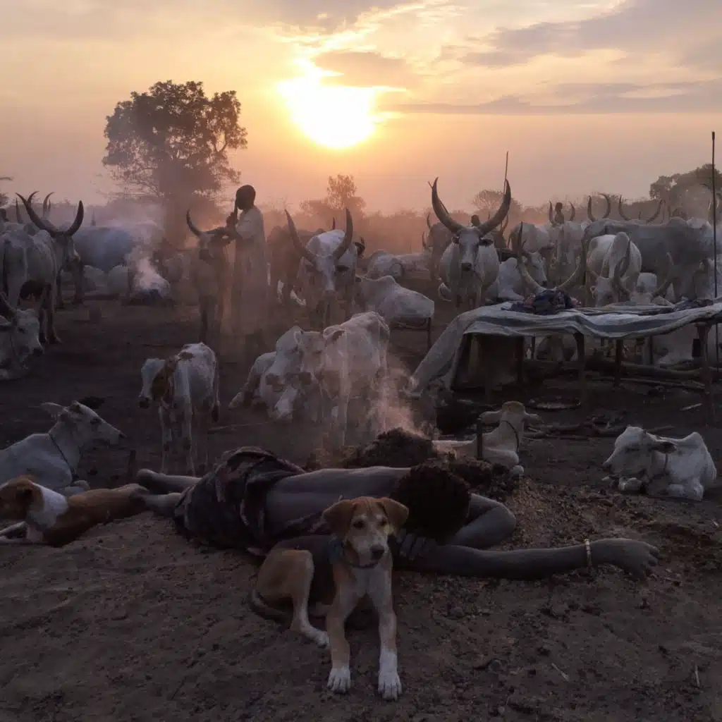 S11E4: JUŽNÝ SUDÁN - Močový šampón a fotogenické výkaly