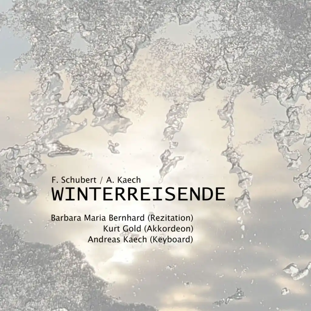 Winterreisende