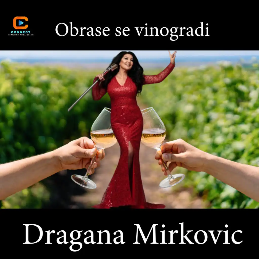 Dragana Mirkovic