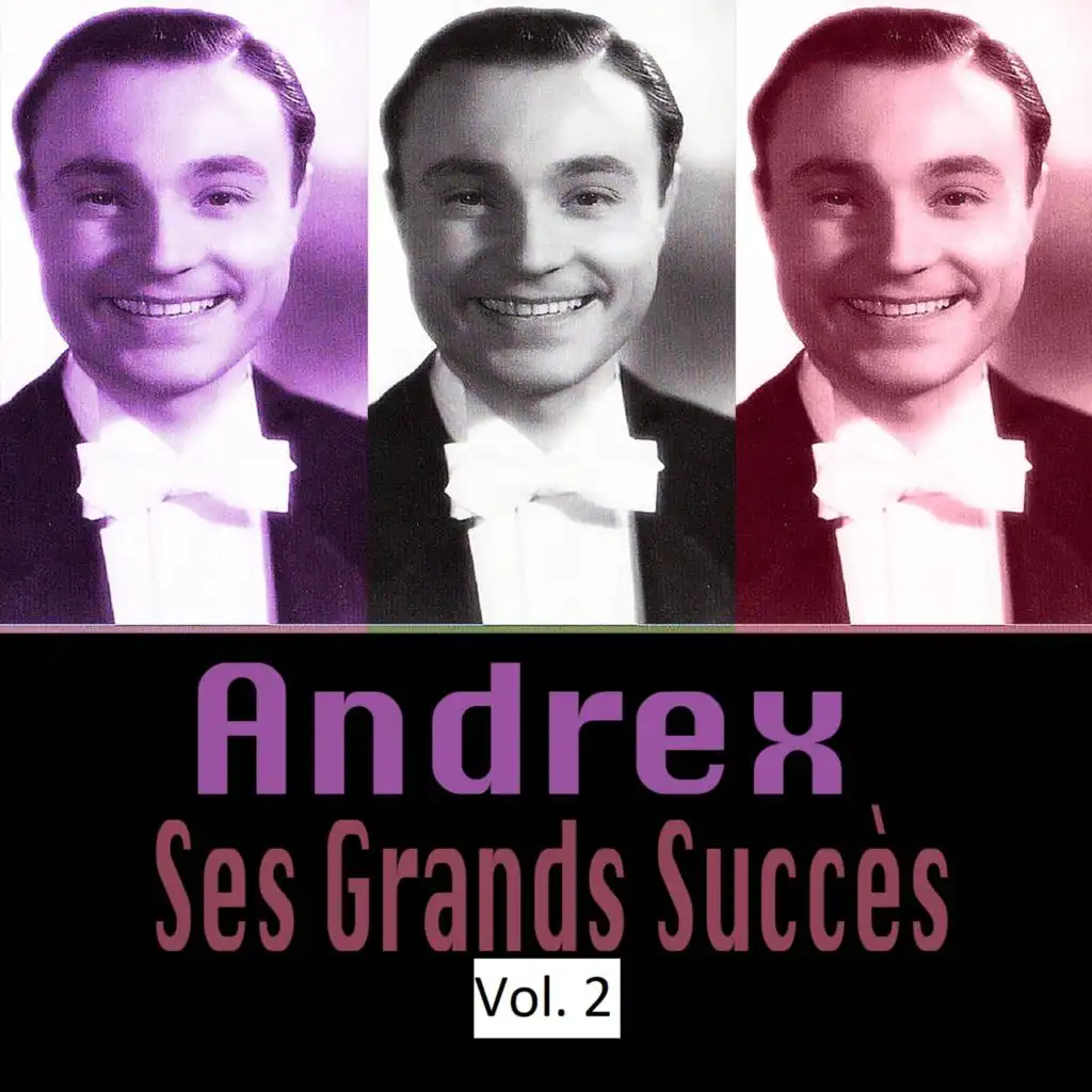 Andrex - Ses Grands Succès, Vol. 2