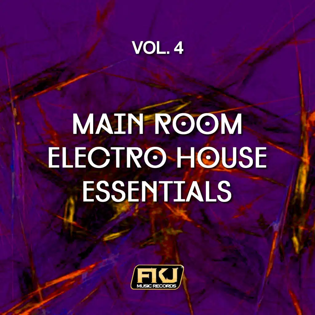 Main Room Electro House Essentials, Vol. 4