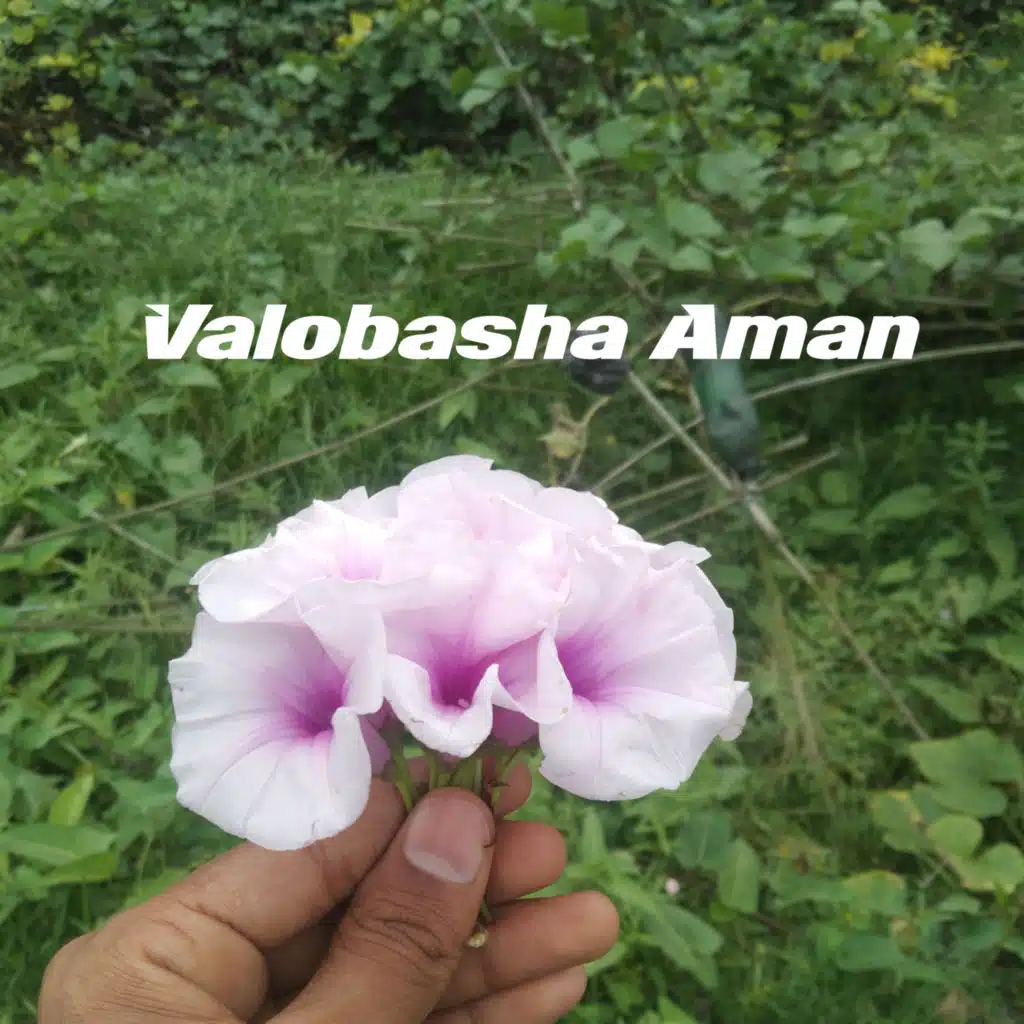 Aman Ullah