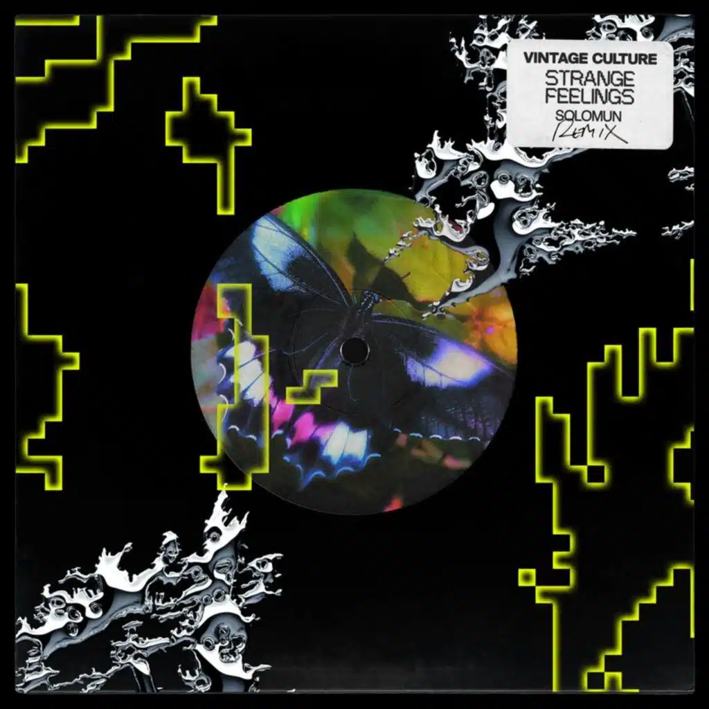 Vintage Culture & Solomun