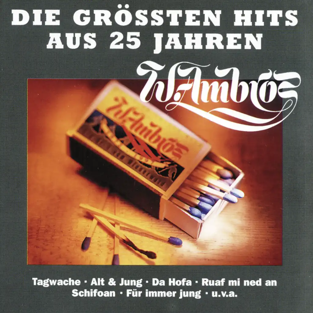 Die Grössten Hits Aus 25 Jahren