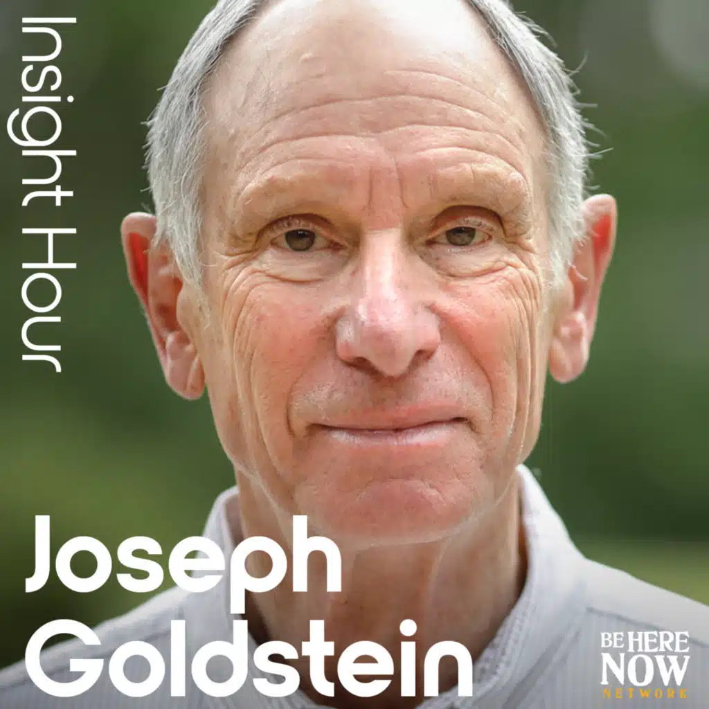 Insight Hour with Joseph Goldstein