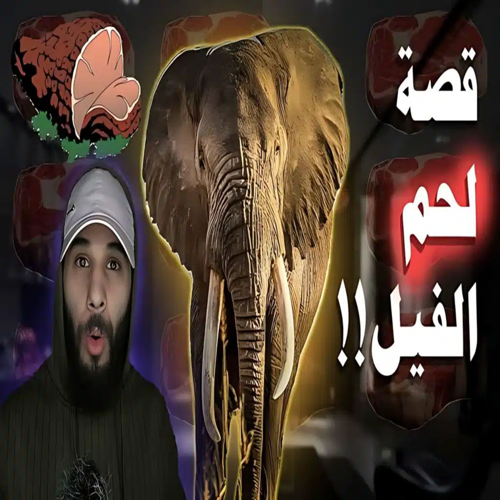 أنس آكشن - اكلوا لحم الفيل شوف ايش صار لهم