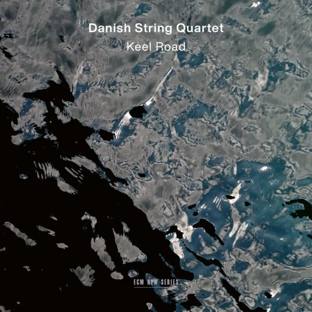 Danish String Quartet