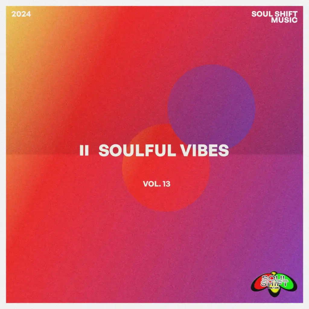 Soulful Vibes Vol. 13