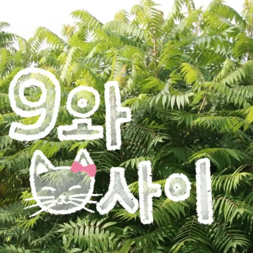 9와0사이