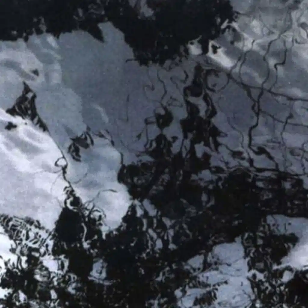 Machine Translations