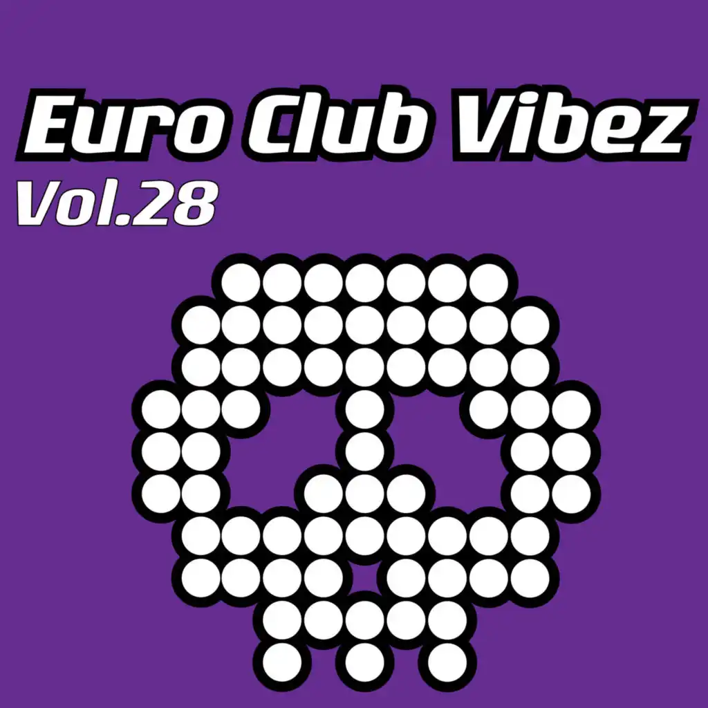 Euro Club Vibez, Vol. 28