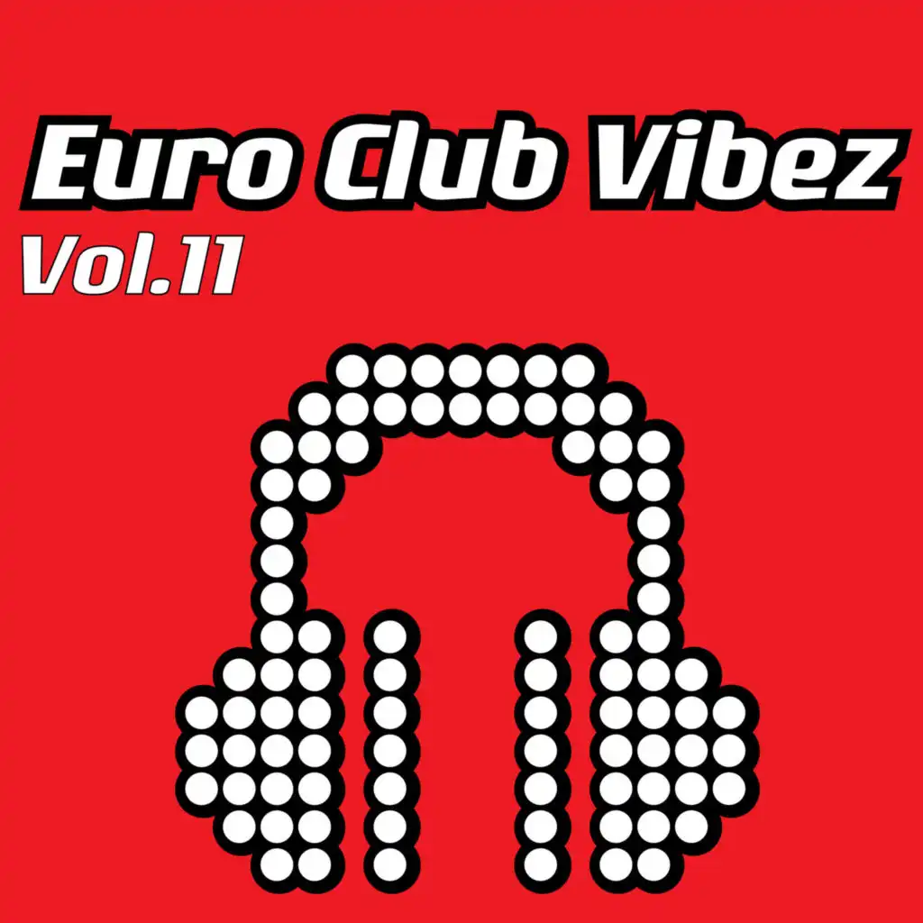 Euro Club Vibez, Vol. 11