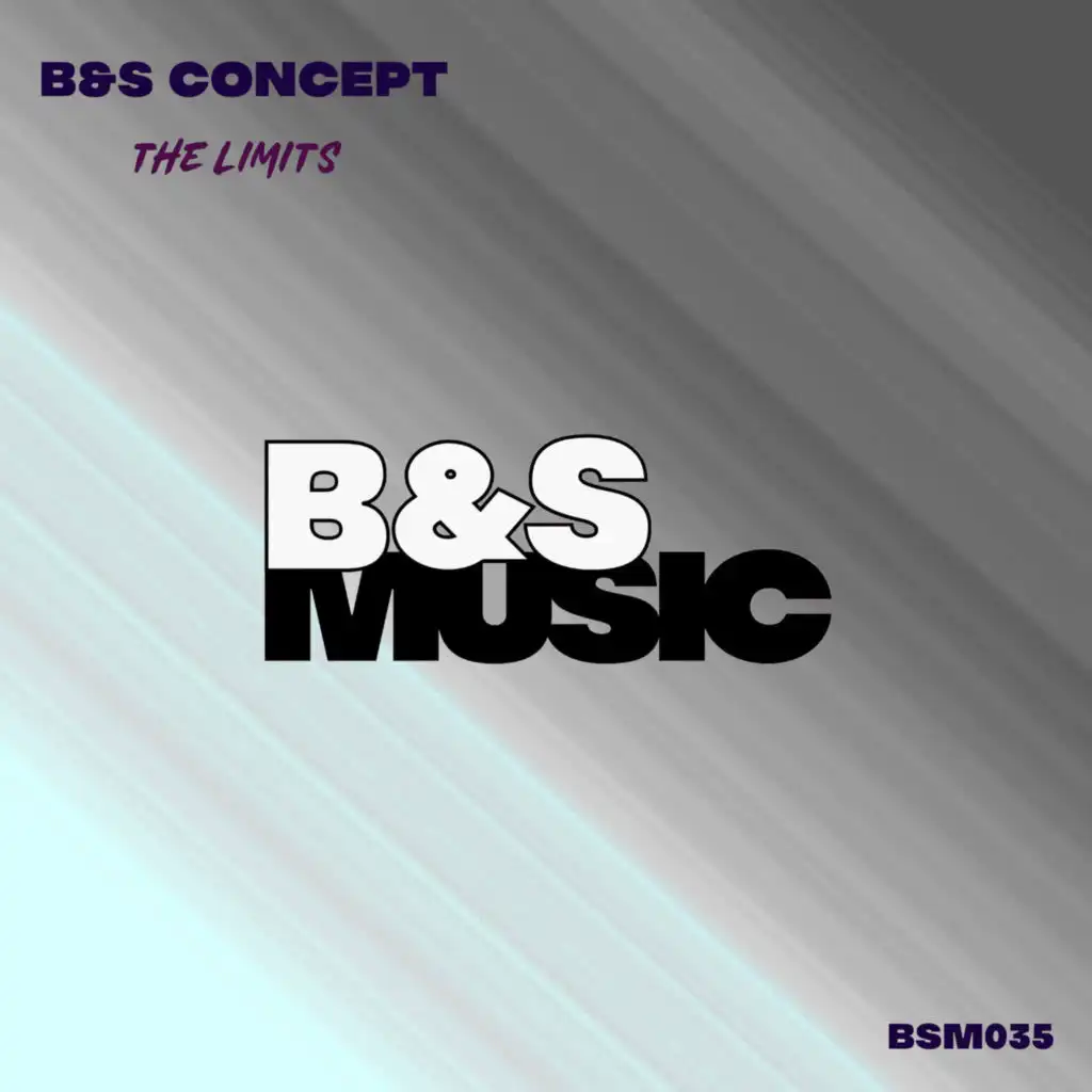 B&S Concept