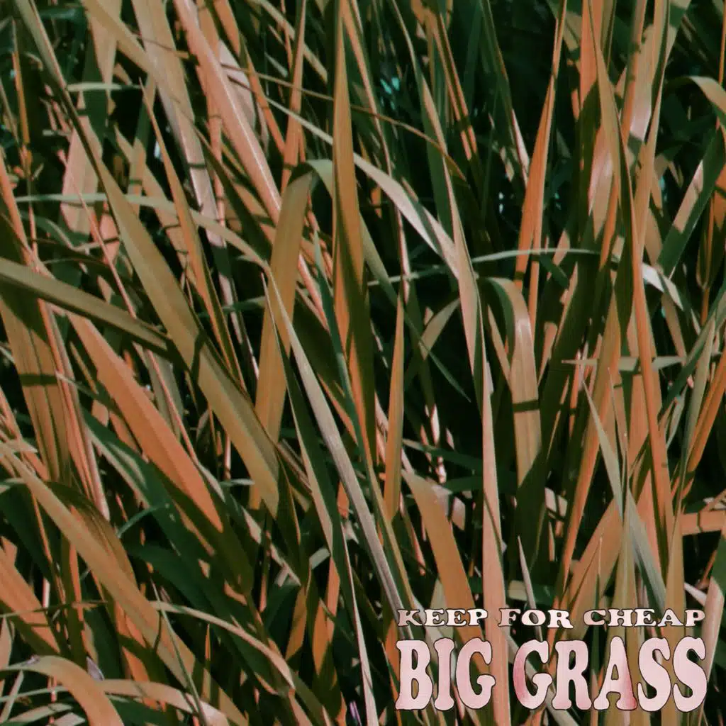 Big Grass