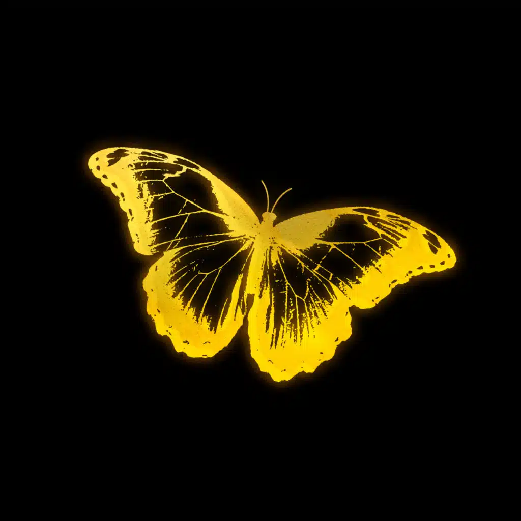 SHINE (golden hour sample) [feat. JNR CHOI, Lil Man J, Arden Jones & Ali Gatie]