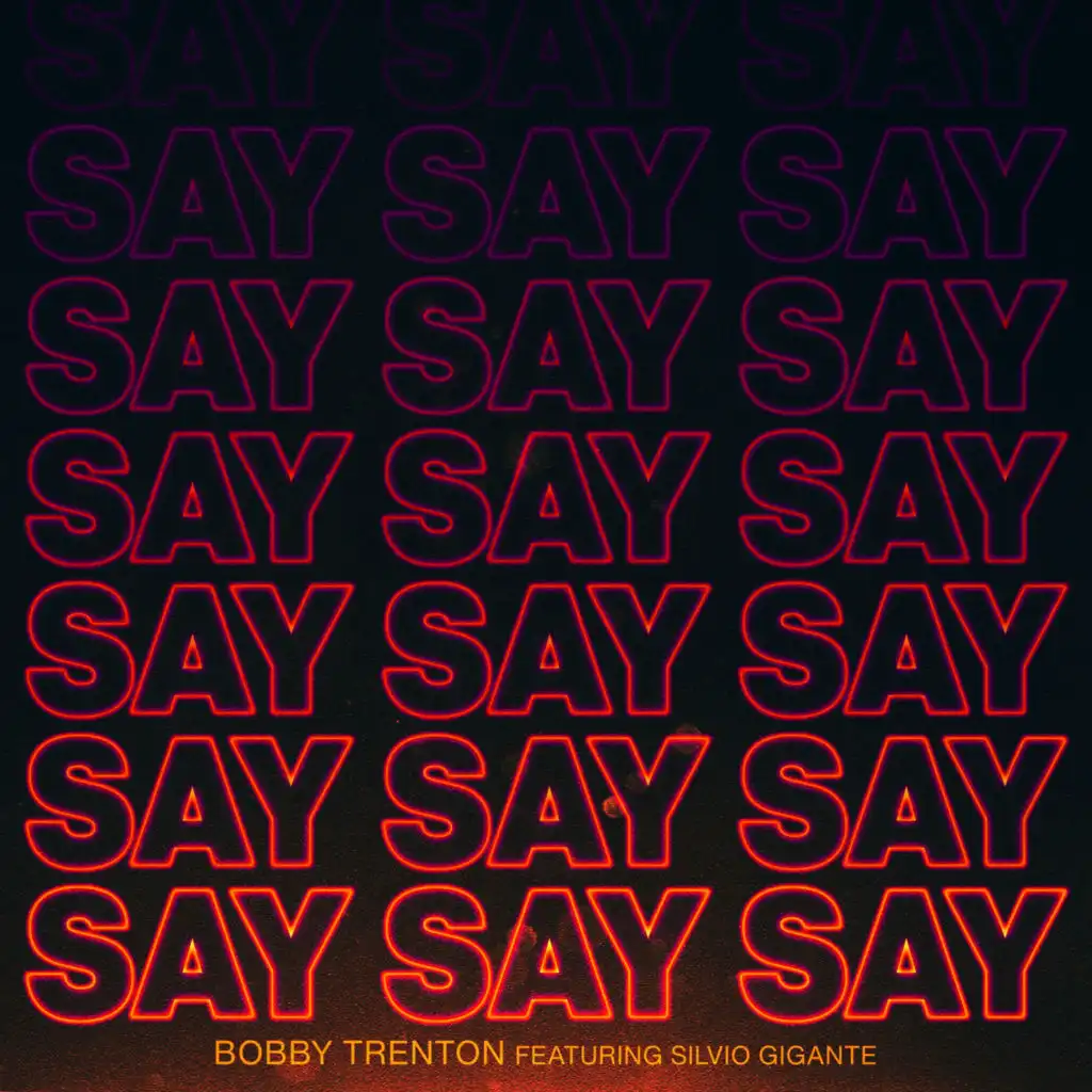 Say Say Say (Stereo Junkie Remix) [feat. Silvio Gigante]