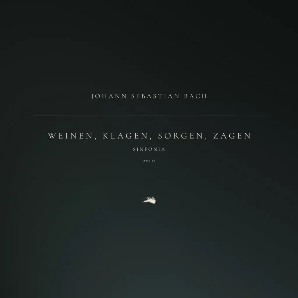 Weinen, Klagen, Sorgen, Zagen, BWV 12: 1. Sinfonia