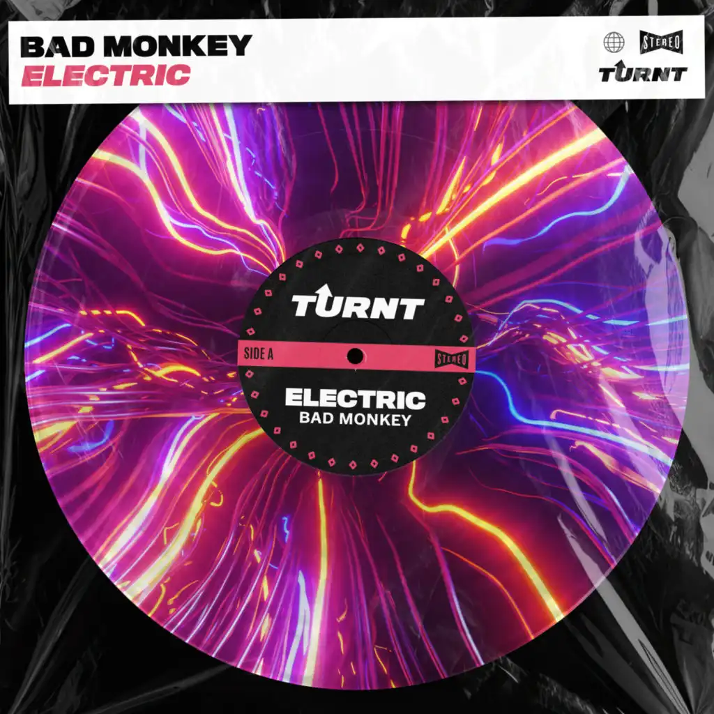 Bad Monkey