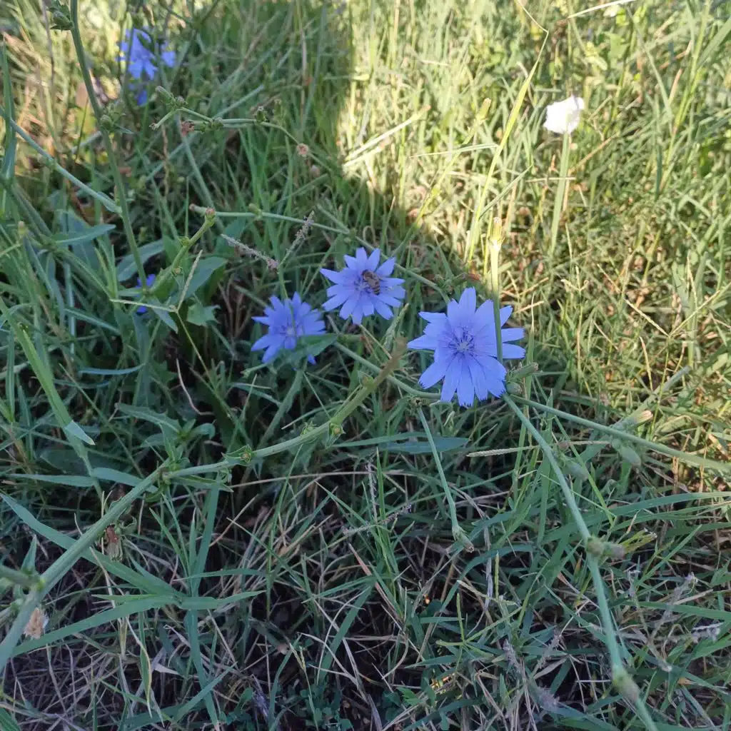 Le Secret (Instrumental Version)