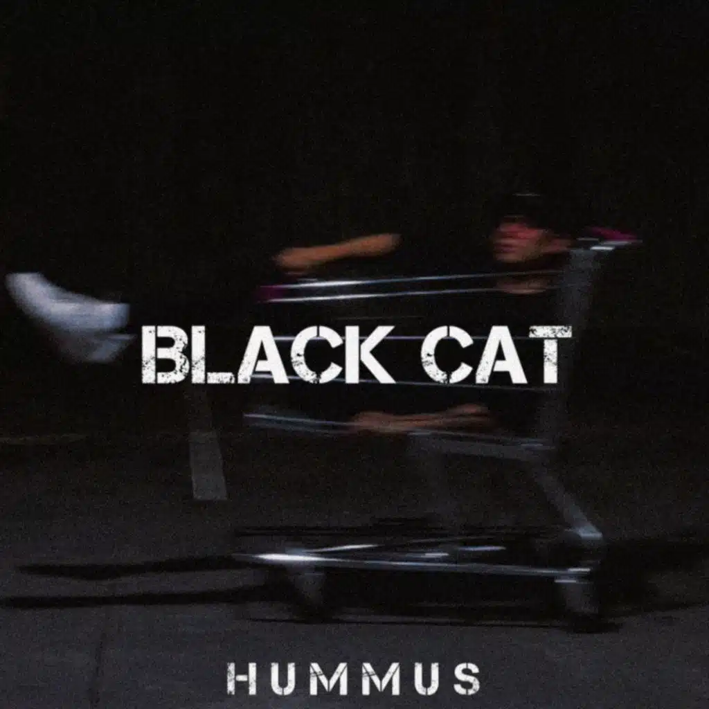 Black Cat