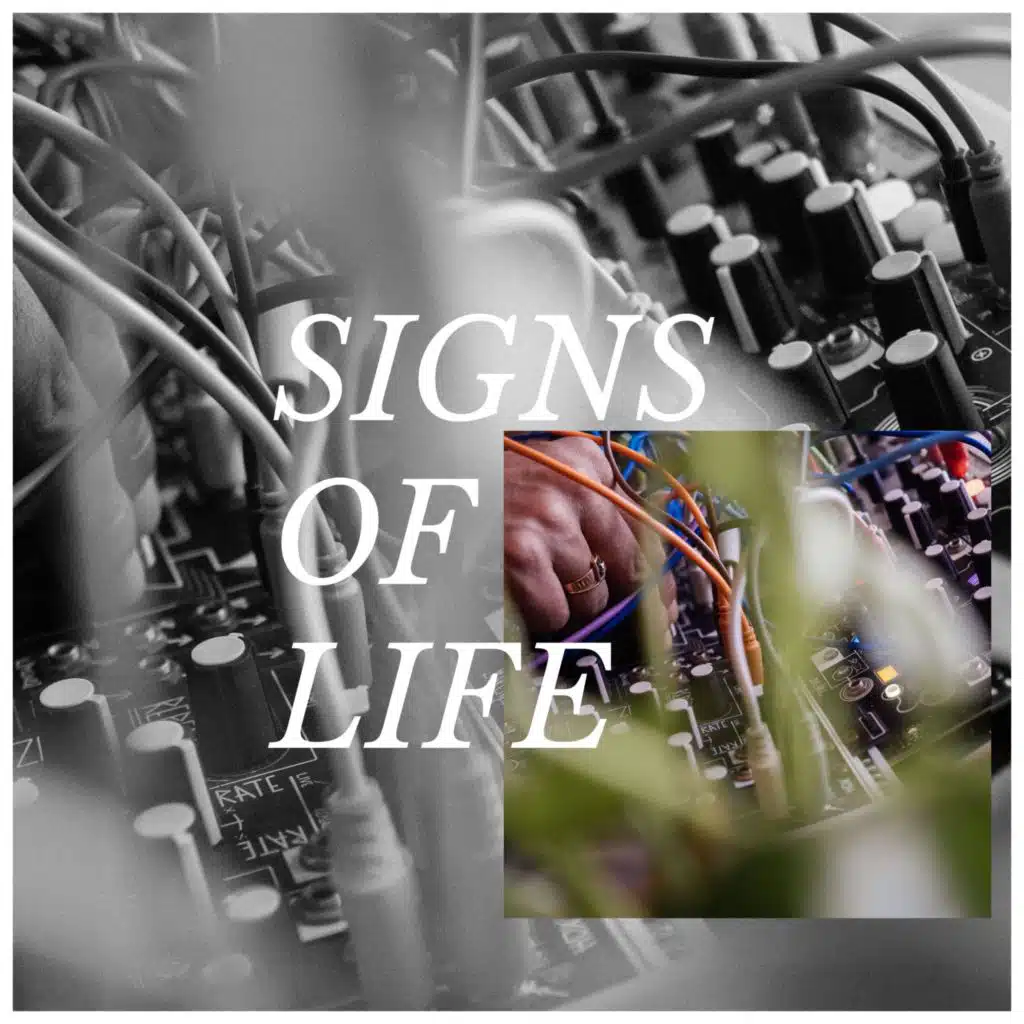 Signs Of Life