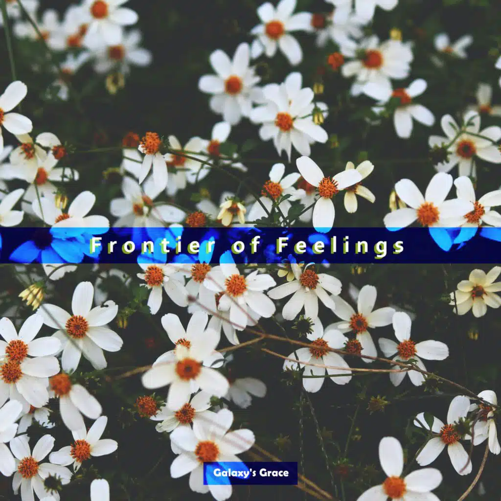 Frontier of Feelings