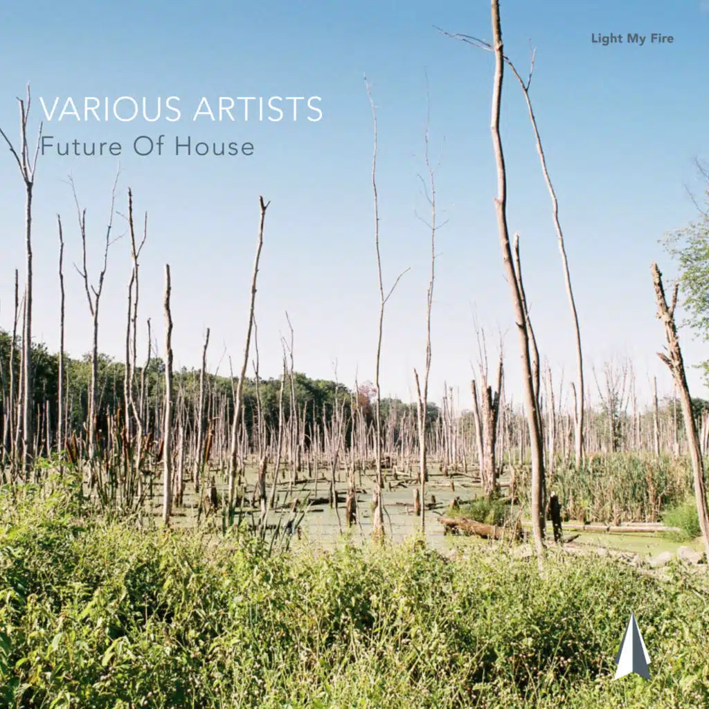 Ben Weber & Phable & Low Steppa