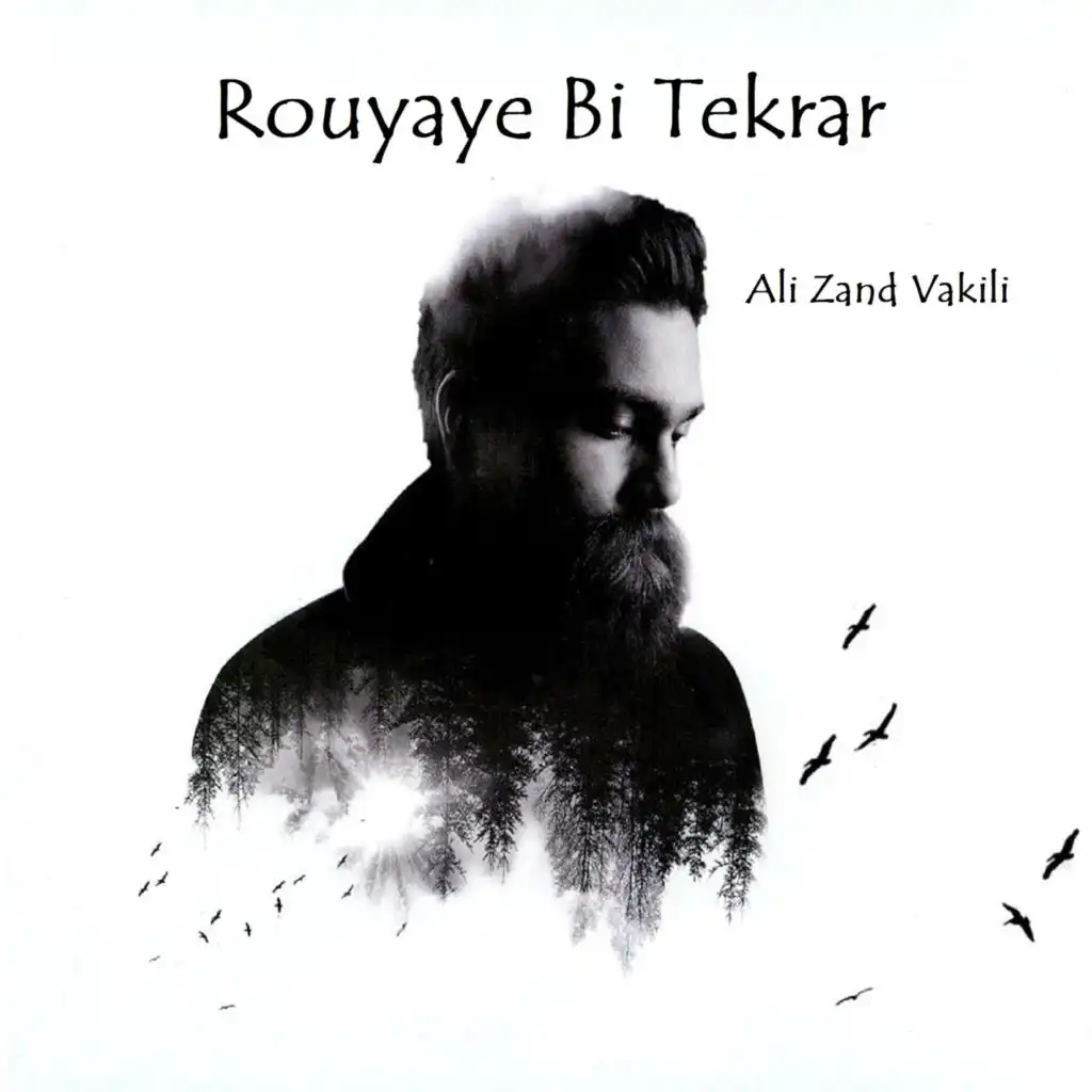 Ali Zand Vakili