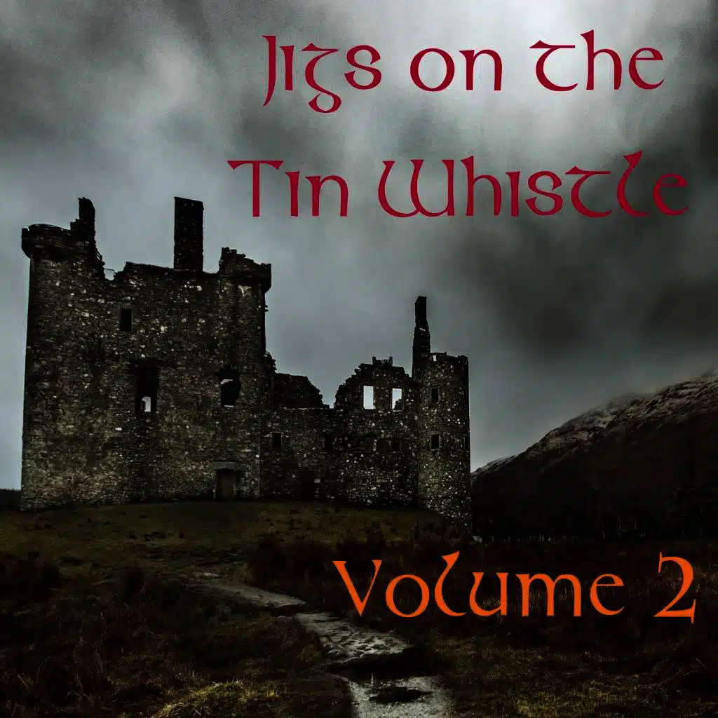 Jigs on the Tin Whistle: Volume 2
