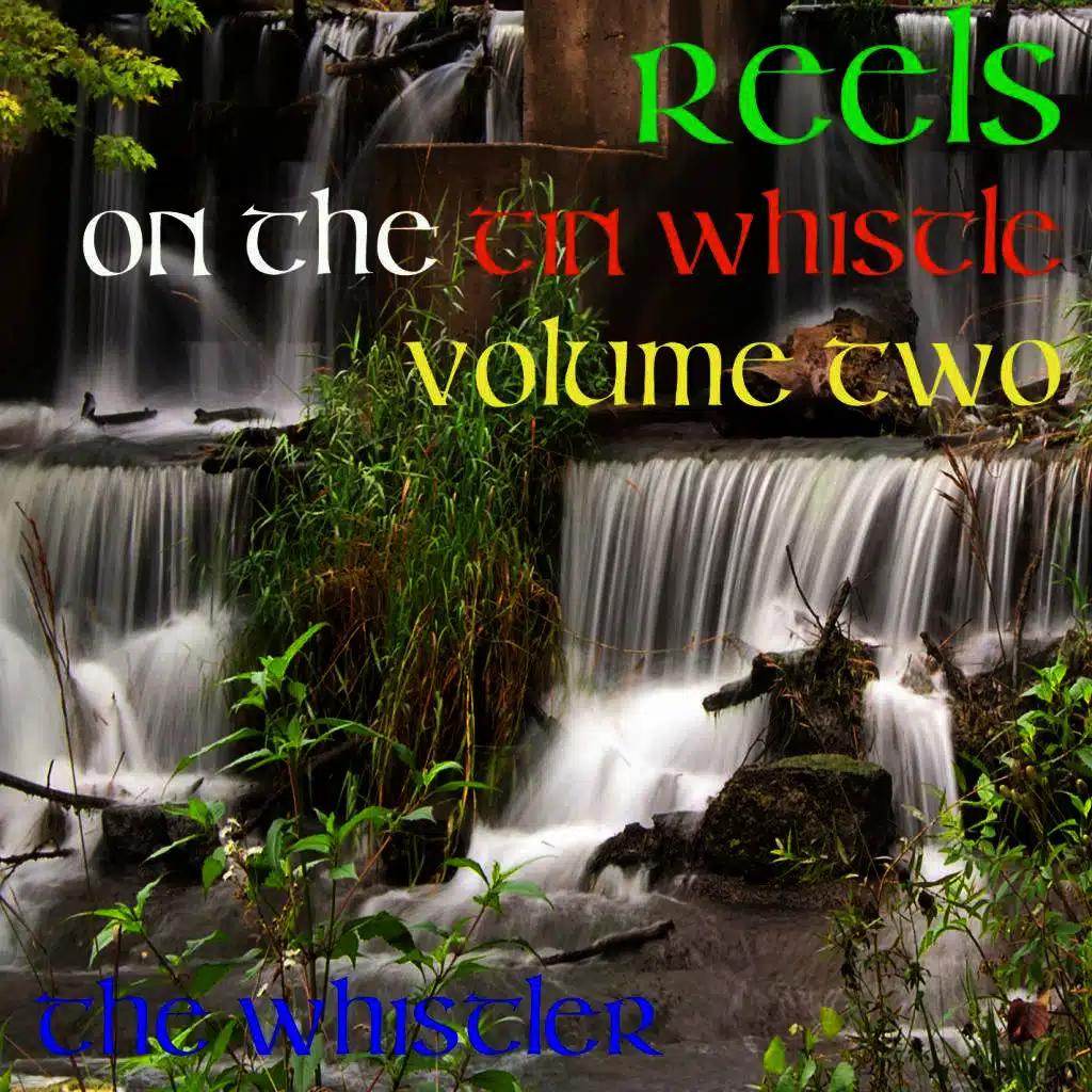 Reels on the Tin Whistle: Volume 2