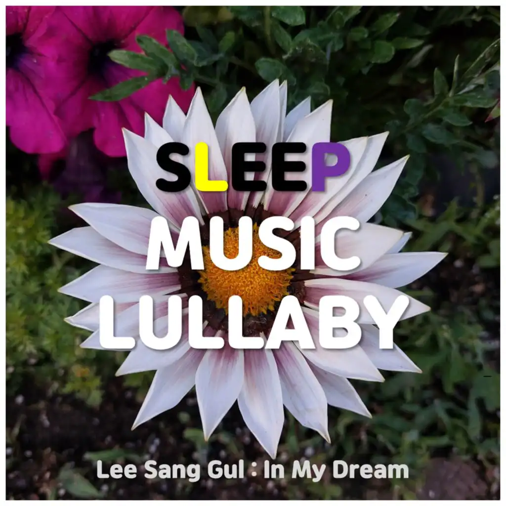 Sleep Music Lullaby