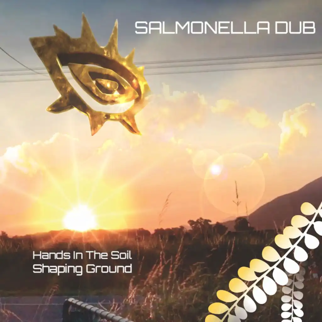 Salmonella Dub