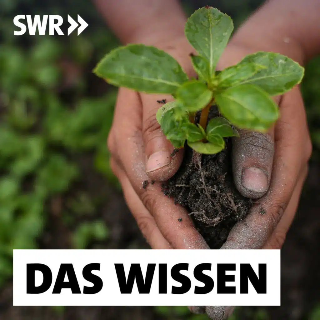 Richtig übers Klima sprechen – Motivieren statt alarmieren