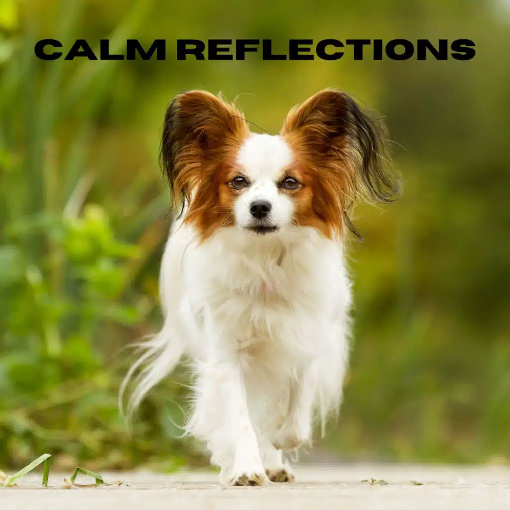 Whispering Waters (Loopable, No Fade)