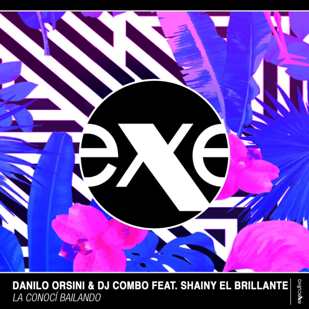 La Conoci Bailando (feat. Shainy El Brillante) (Stephan F Remix Edit)