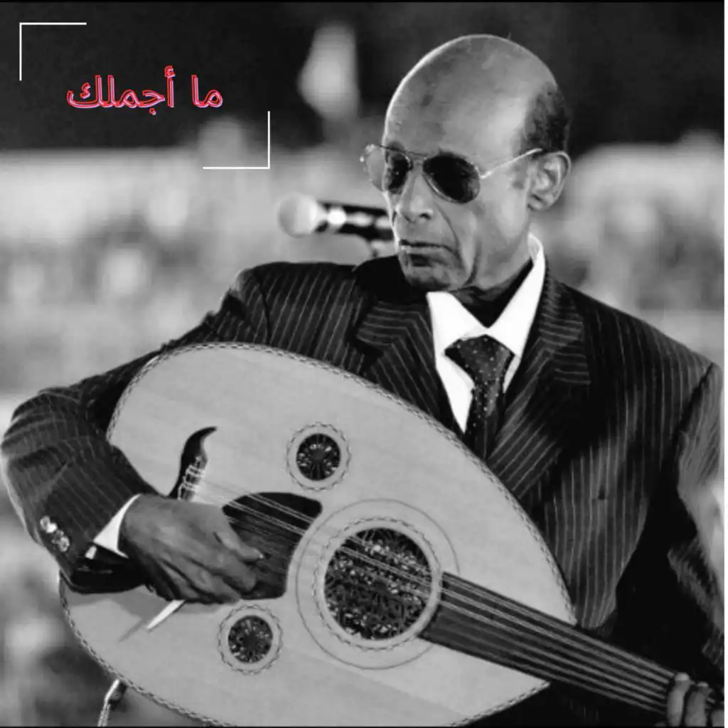 محمد الأمين