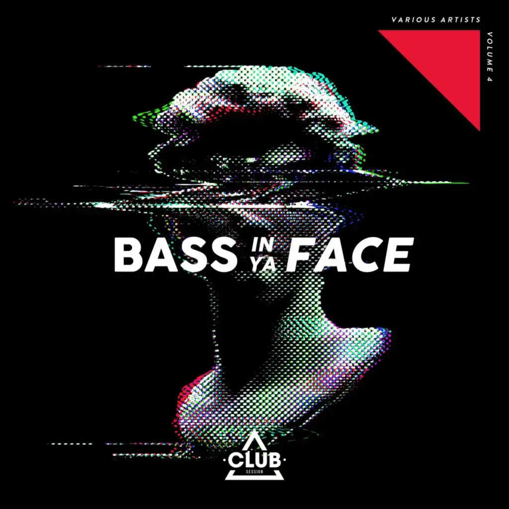 Bass in Ya Face, Vol. 4