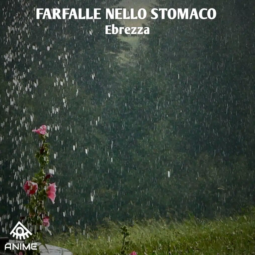 Farfalle Nello Stomaco