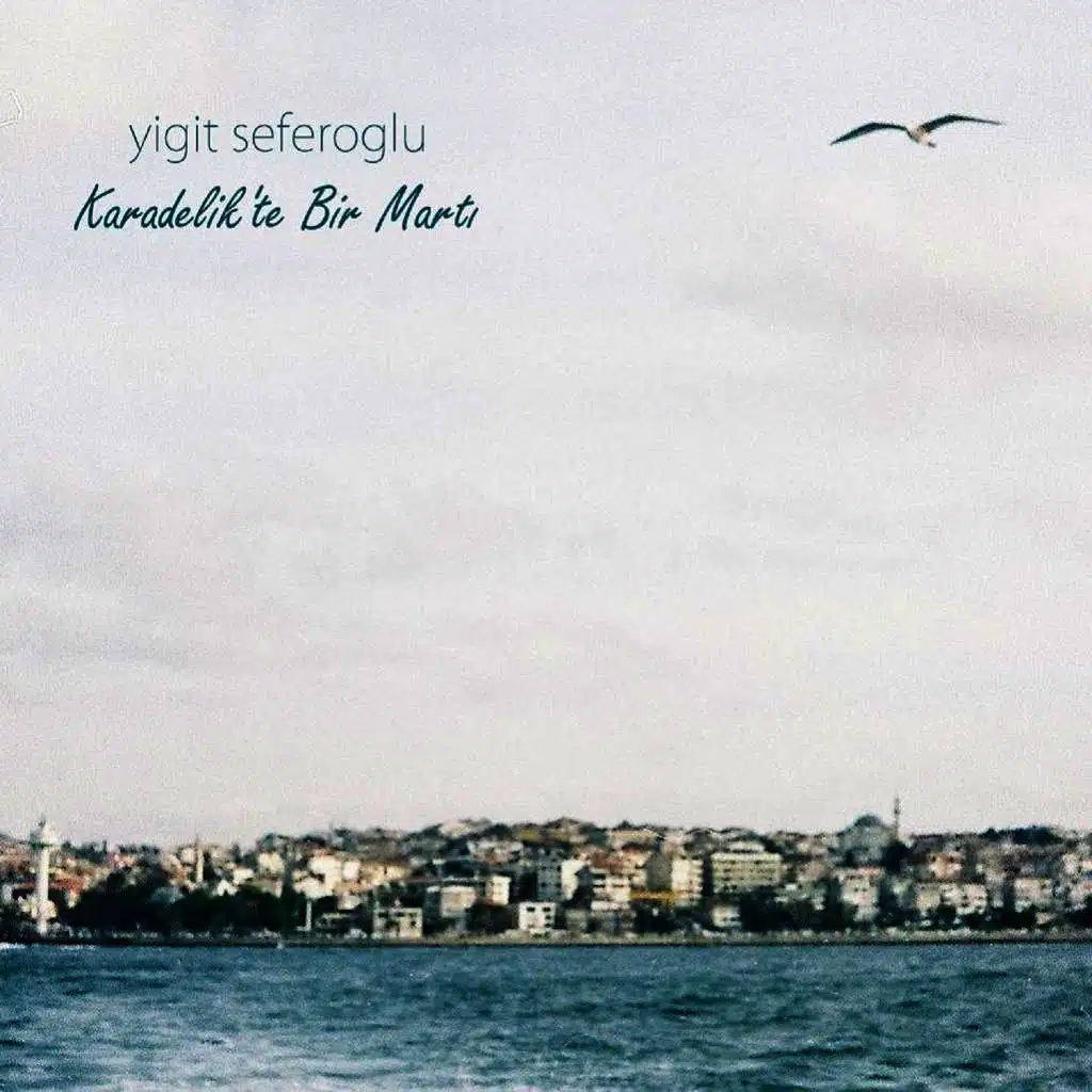 Karadelik'te Bir Martı