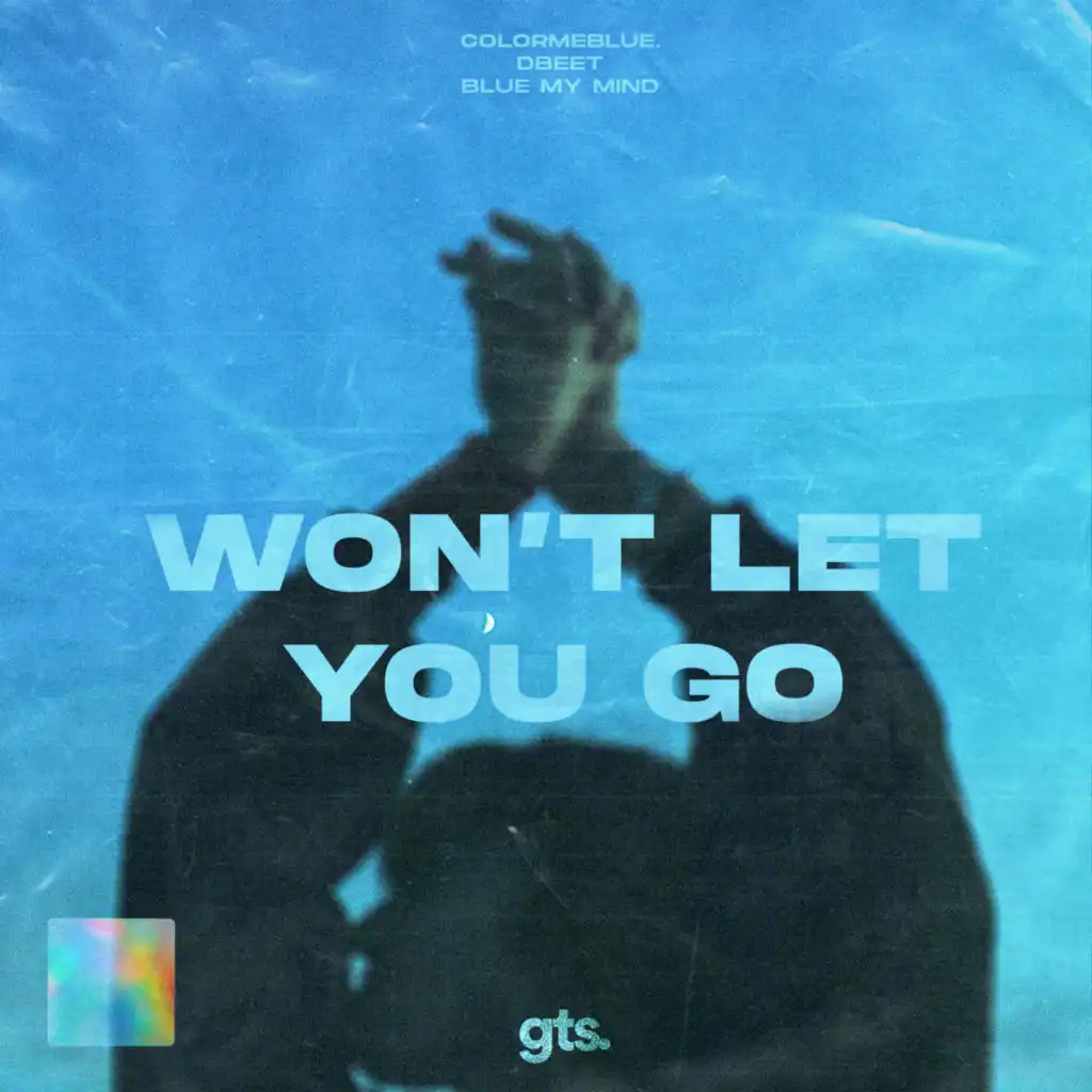 Won't Let You Go (feat. Emma Castellino)