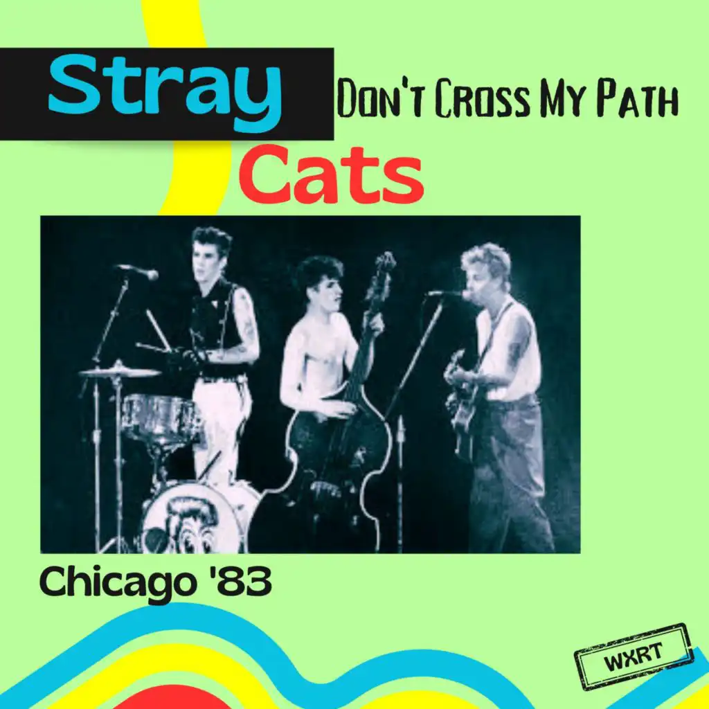 Stray Cats