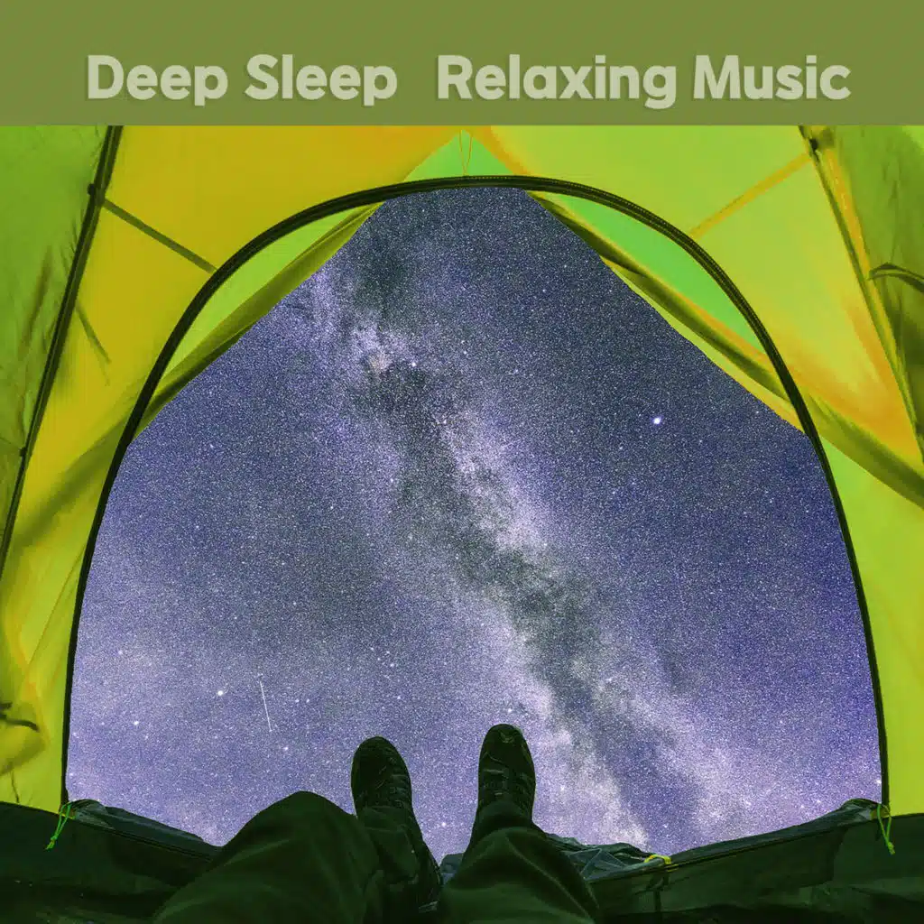 조용한 몽상 (오르골)