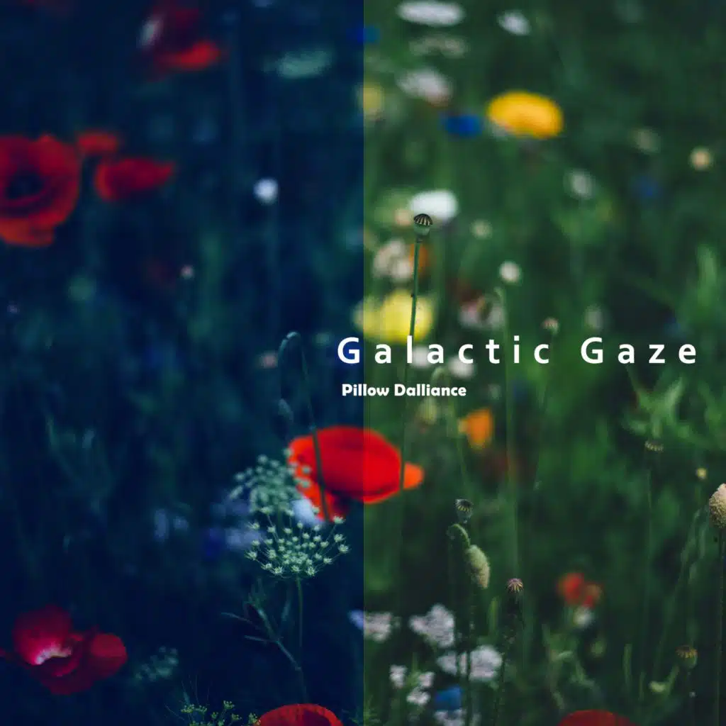 Galactic Gaze