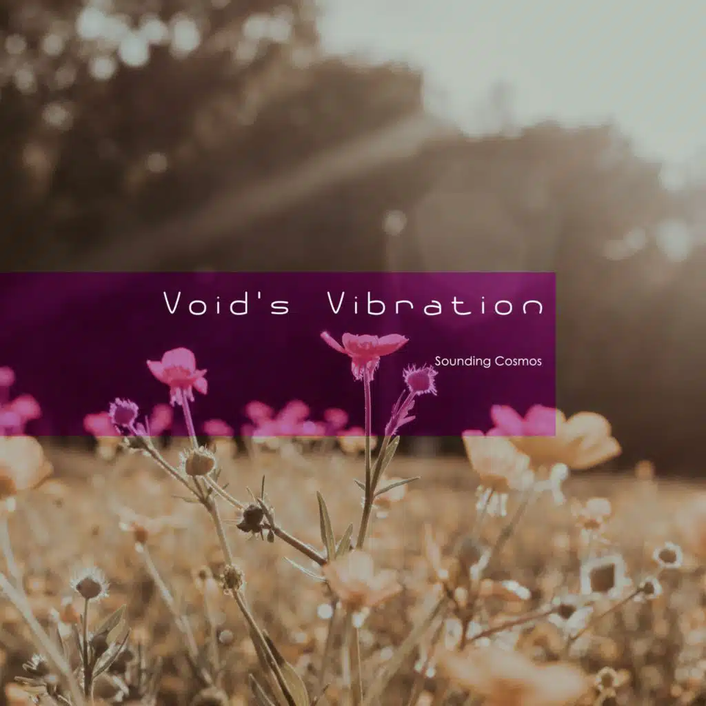 Void’s Vibration